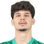 Ahmed Abdelhamid Mayhoub